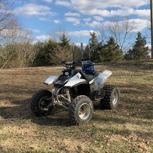 Meet your Posher, Riley